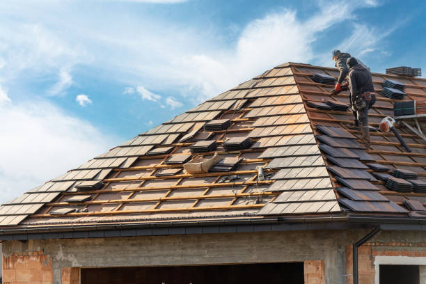 Best Roof Insulation Installation  in Cheviot, OH